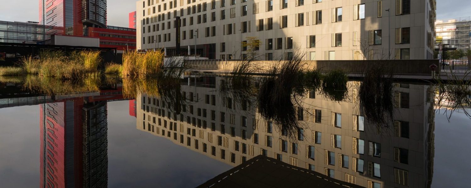 UNI_20161013_Belval_Bat-MSH_amb